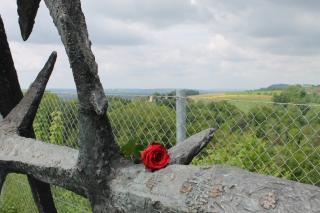 Eine Blume auf einem Teil des Denkmals der DDR. Im Hintergrund sieht man auf den Steinbruch. Das Denkmal befindet sich direkt an der Steinbruchkante. Foto: Nina Aichberger